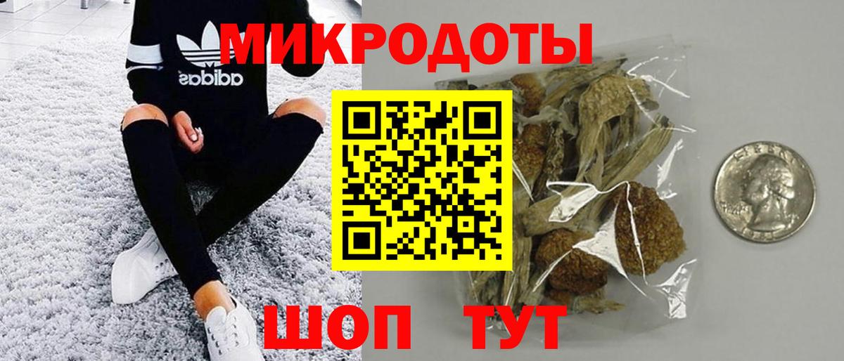 Киров  что такое   Вход с VPN  Галлюциногенные грибы мухоморы 